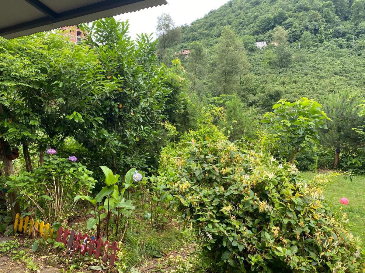 Doga Villa Yomra Kültér fotó