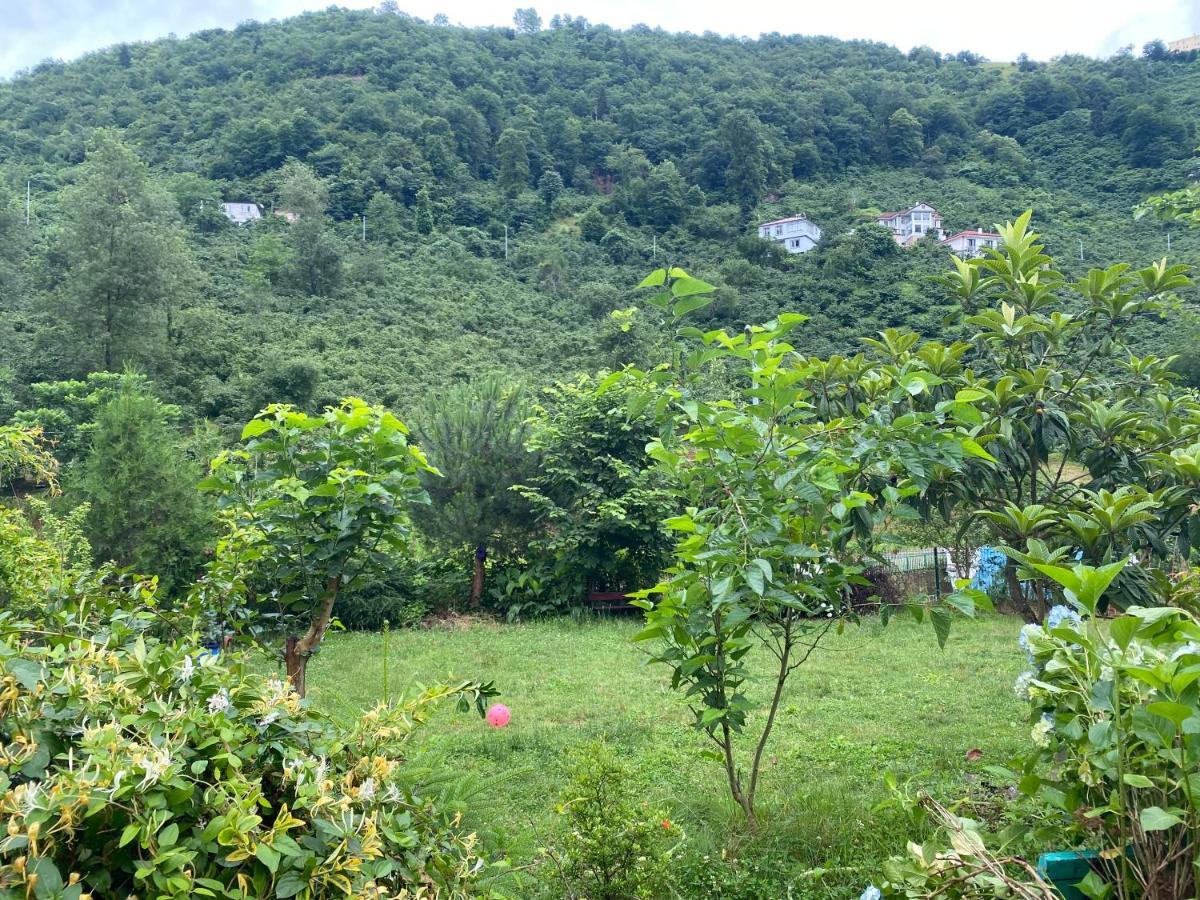 Doga Villa Yomra Kültér fotó