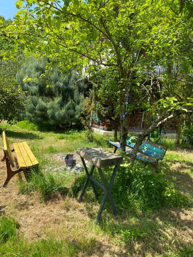 Doga Villa Yomra Kültér fotó